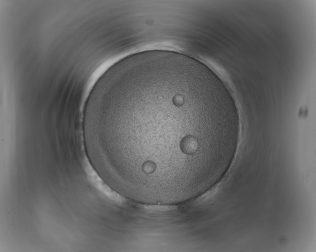 X0000112041200200908241555