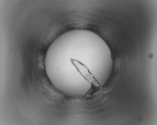X0000112041202200908241554
