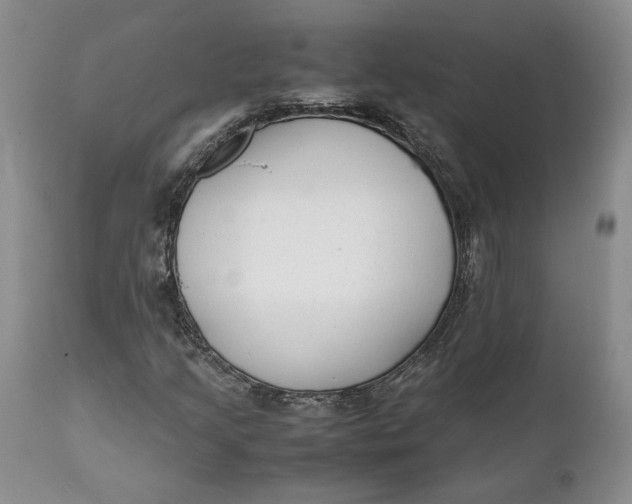 X0000112041205200908241554