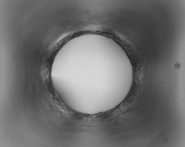 X0000112041206200908241554