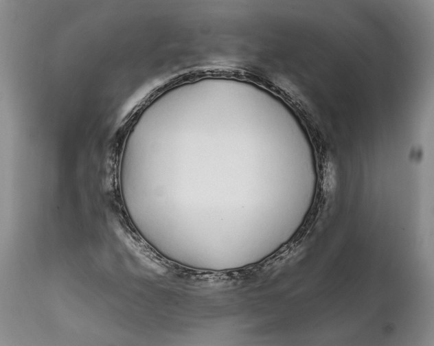 X0000112041208200908241554