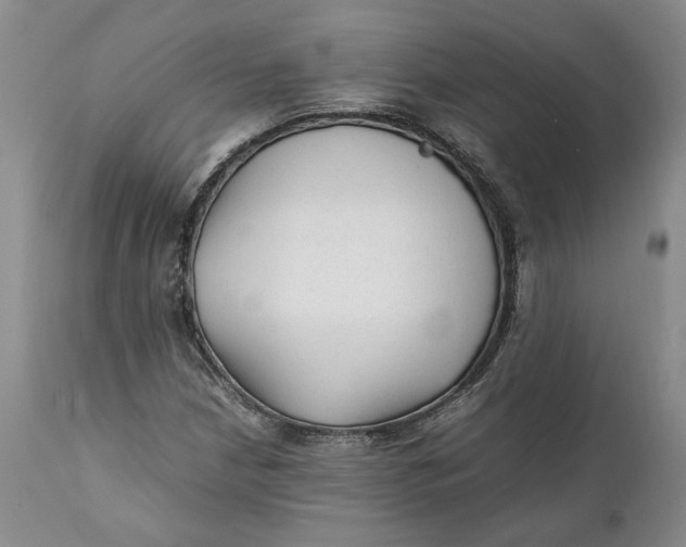 X0000112041210200908241554