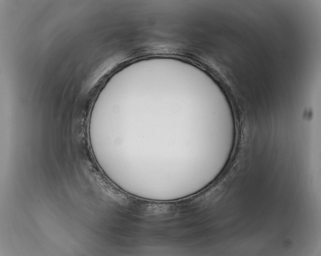 X0000112041211200908241554