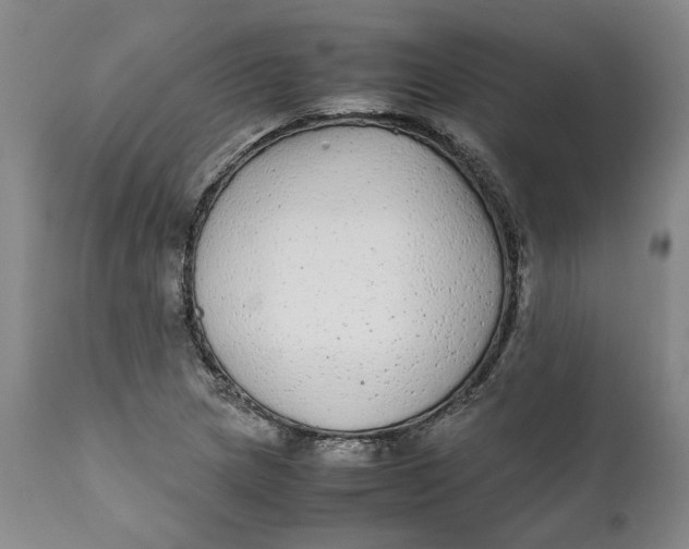 X0000112041217200908241554