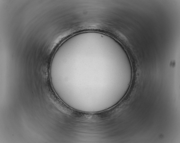 X0000112041218200908241554