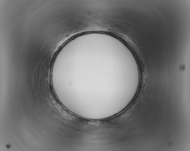 X0000112041220200908241554