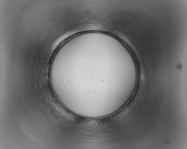 X0000112041222200908241554