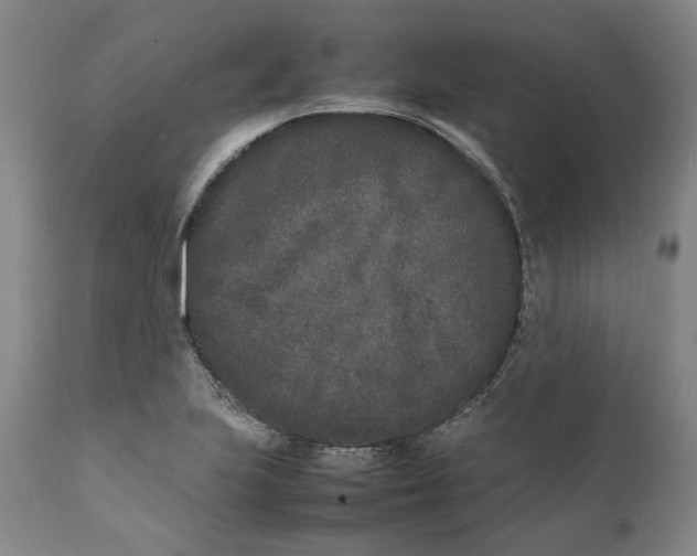 X0000112041223200908241554