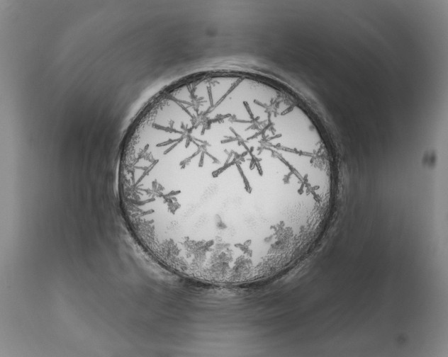 X0000112041224200908241554