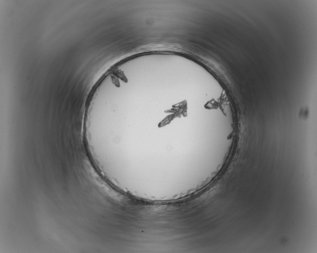 X0000112041228200908241554