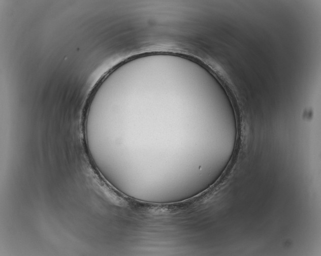 X0000112041230200908241554