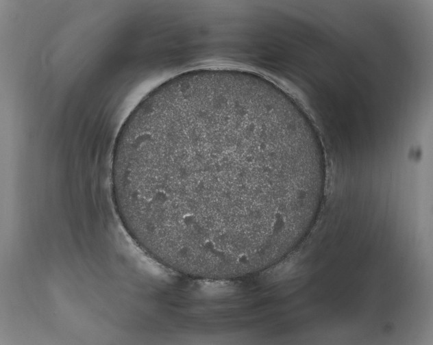 X0000112041231200908241554