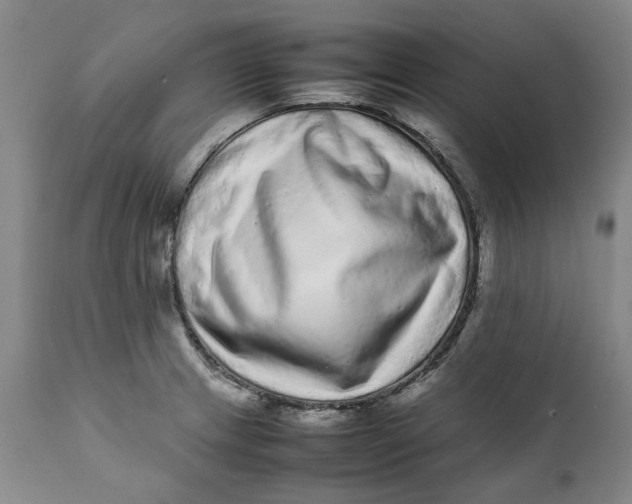 X0000112041233200908241554