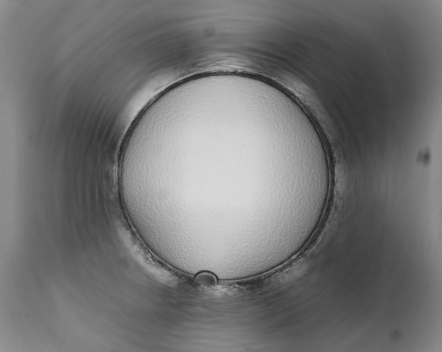 X0000112041234200908241554
