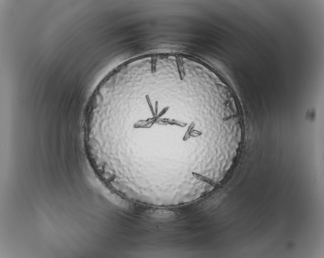 X0000112041235200908241554