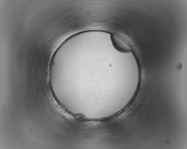X0000112041236200908241554