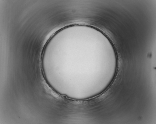 X0000112041240200908241554