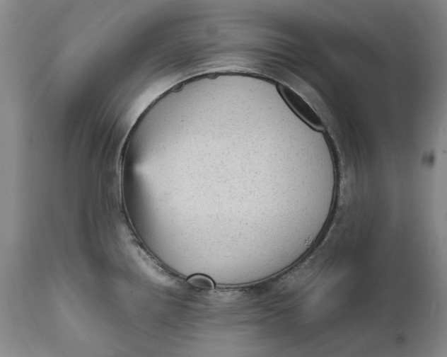 X0000112041242200908241555