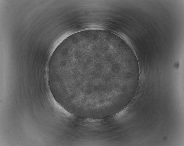 X0000112041243200908241555