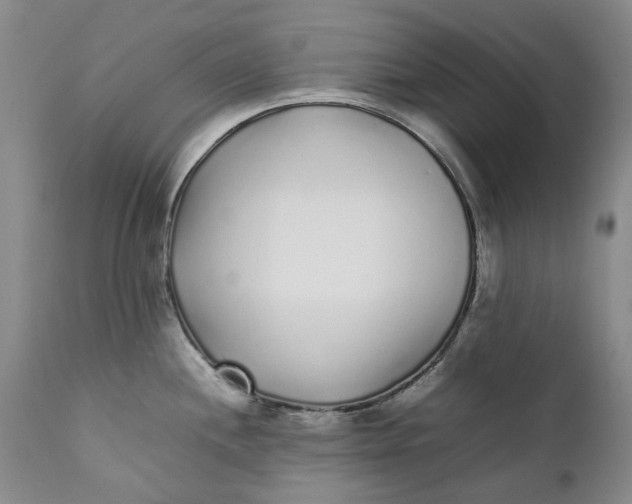 X0000112041244200908241555