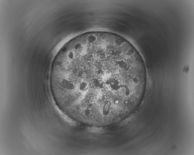 X0000112041245200908241555