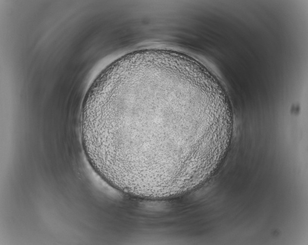 X0000112041247200908241555