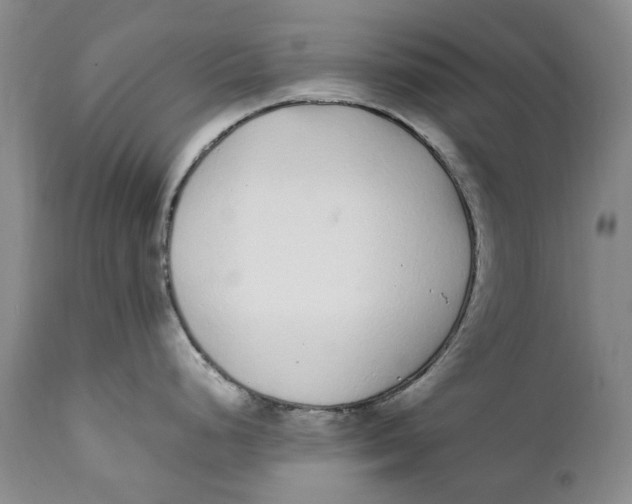 X0000112041248200908241555