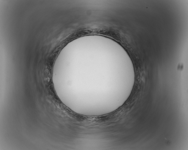 X0000112041253200908241554