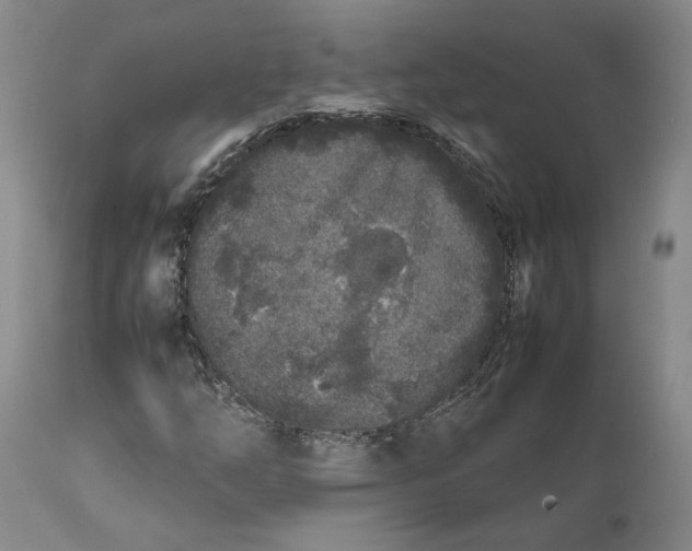X0000112041254200908241554