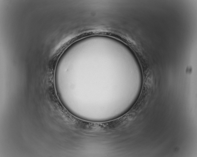 X0000112041255200908241554