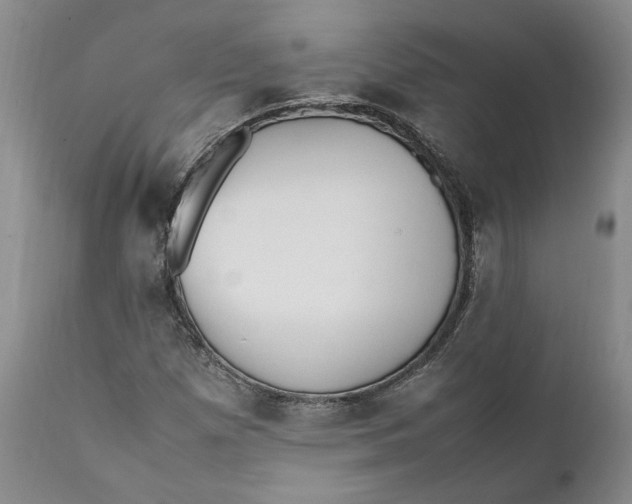 X0000112041257200908241554