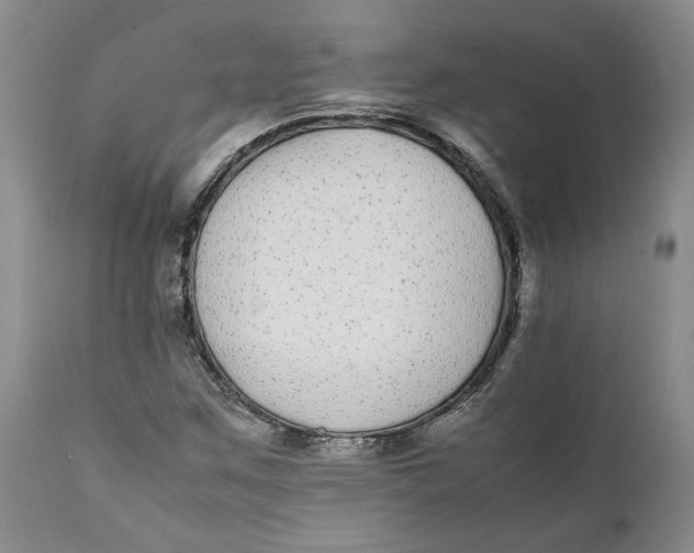 X0000112041259200908241554