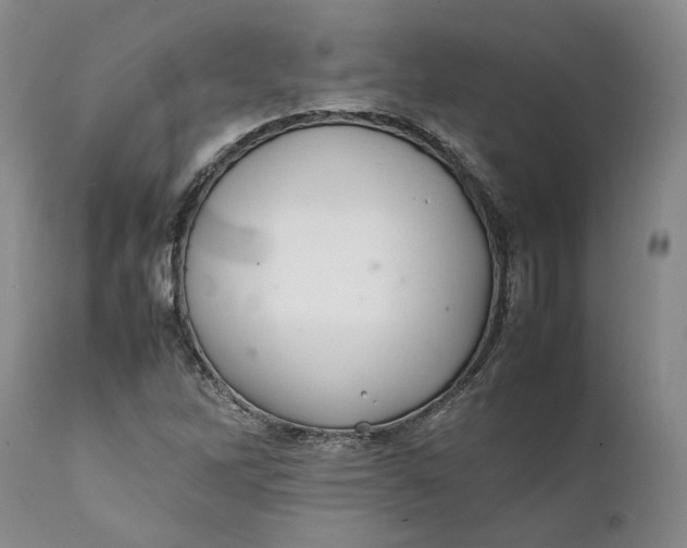 X0000112041262200908241554