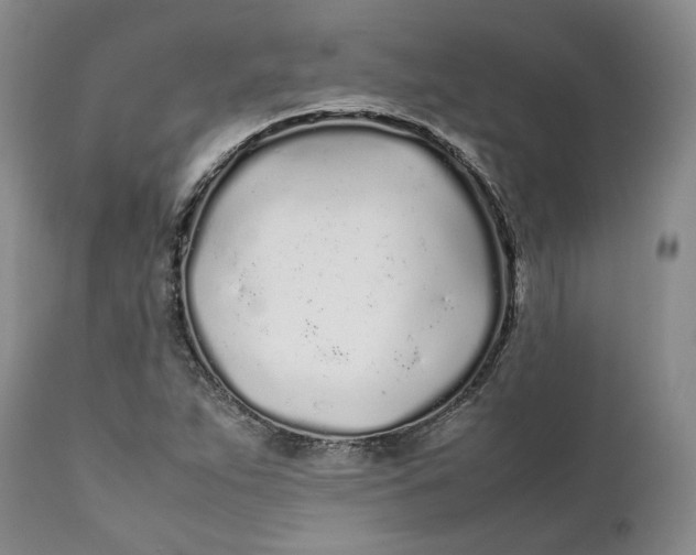 X0000112041263200908241554