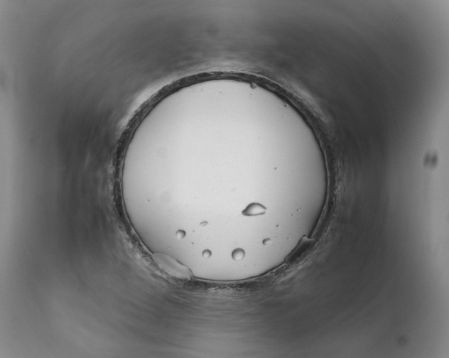 X0000112041264200908241554