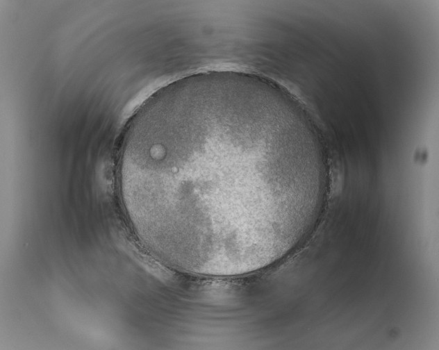 X0000112041266200908241554