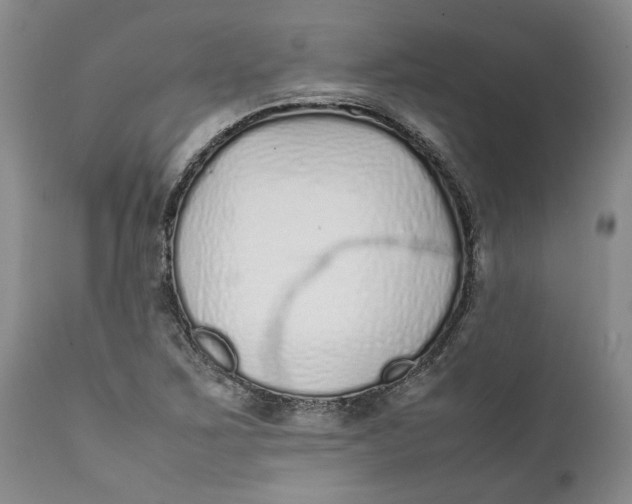 X0000112041267200908241554