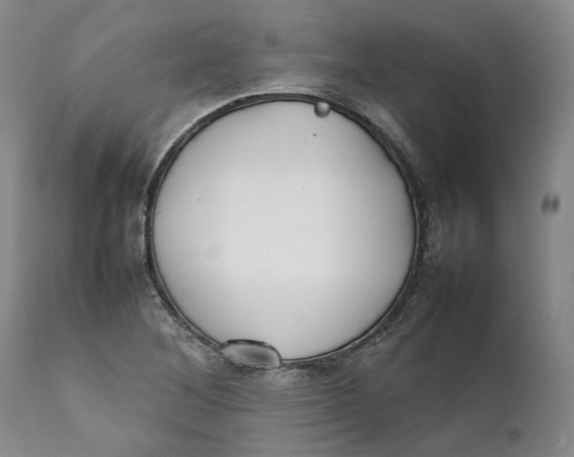 X0000112041268200908241554