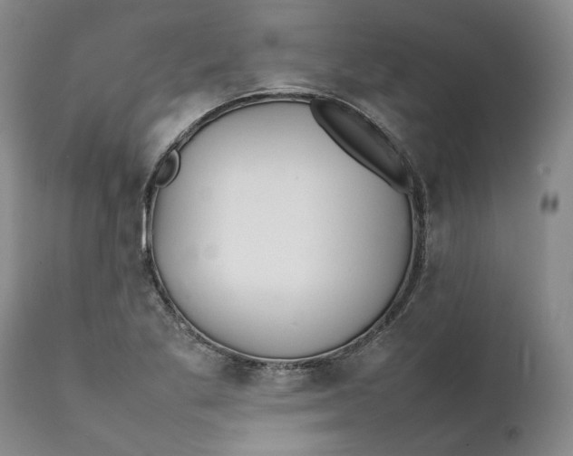 X0000112041269200908241554