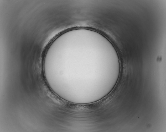 X0000112041270200908241554