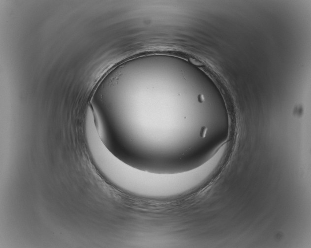 X0000112041273200908241554