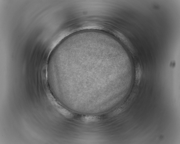 X0000112041274200908241554