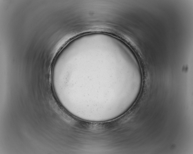 X0000112041275200908241554