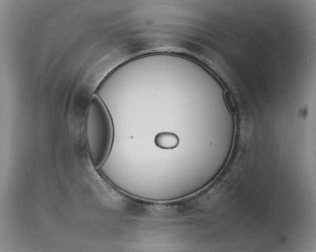 X0000112041281200908241553