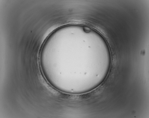 X0000112041283200908241553
