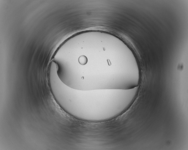 X0000112041284200908241553