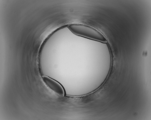 X0000112041285200908241553