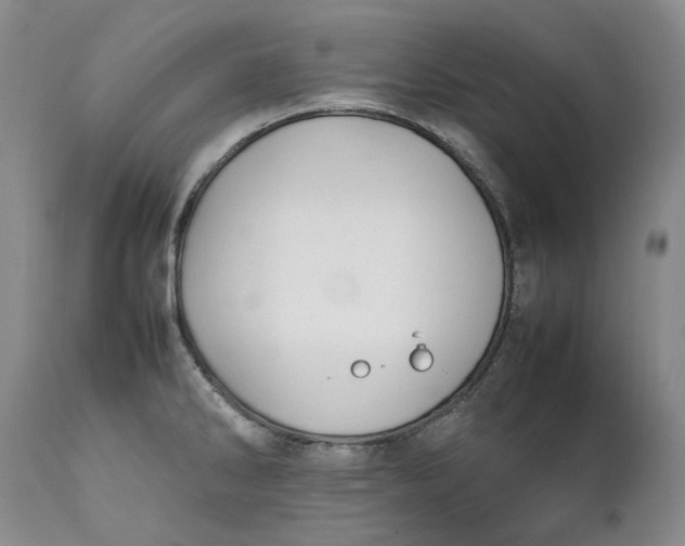 X0000112041286200908241553