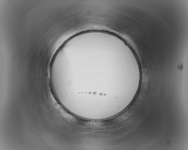 X0000112041287200908241553