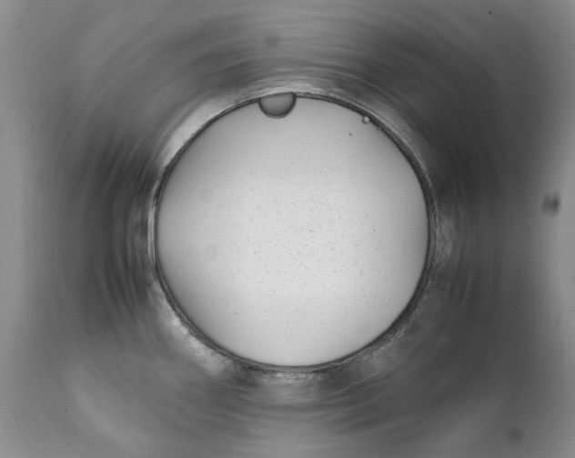 X0000112041290200908241553